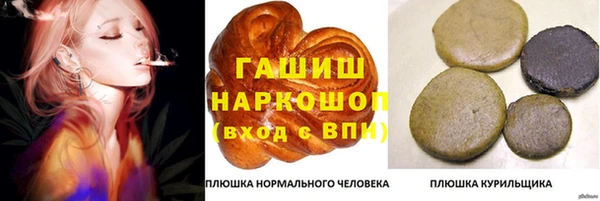 шишки Белая Холуница