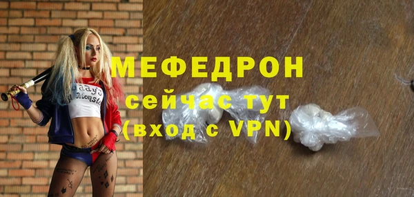 шишки Белая Холуница